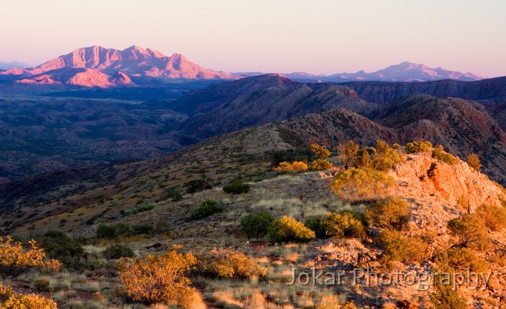 Larapinta_20080604_244 copy.jpg - Mt Sonder from ridge above Waterfall Gorge in early morning light